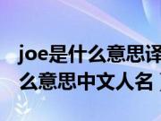 joe是什么意思译（joe是什么意思（joe是什么意思中文人名））