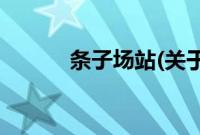 条子场站(关于条子场站的简介)
