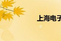 上海电子眼违章查询