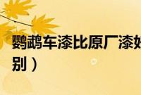鹦鹉车漆比原厂漆好吗（鹦鹉漆和普通漆的区别）