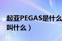 起亚PEGAS是什么车型（起亚PEGAS中文名叫什么）