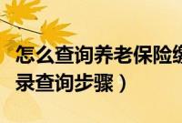 怎么查询养老保险缴费记录（养老保险缴费记录查询步骤）