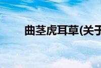 曲茎虎耳草(关于曲茎虎耳草的简介)