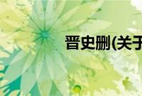 晋史删(关于晋史删的简介)
