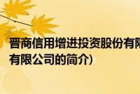 晋商信用增进投资股份有限公司(关于晋商信用增进投资股份有限公司的简介)