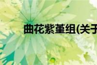 曲花紫堇组(关于曲花紫堇组的简介)