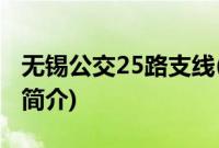 无锡公交25路支线(关于无锡公交25路支线的简介)