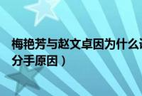 梅艳芳与赵文卓因为什么误会分手（赵文卓和梅艳芳为什么分手原因）
