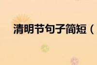 清明节句子简短（清明节句子简短列述）