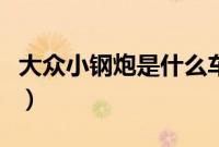 大众小钢炮是什么车子（大众小钢炮是什么车）