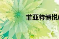 菲亚特博悦新车型基础信息