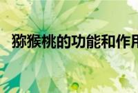 猕猴桃的功能和作用（猕猴桃的好处介绍）