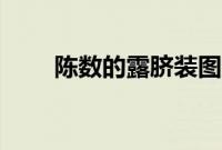 陈数的露脐装图片（陈数的老公谁）
