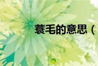 蓑毛的意思（蓑毛的意思简述）