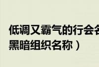 低调又霸气的行会名字（霸气行会名字霸气的黑暗组织名称）