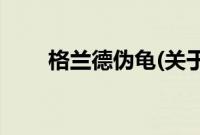 格兰德伪龟(关于格兰德伪龟的简介)