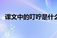 课文中的叮咛是什么意思（叮咛意思介绍）