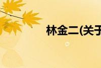 林金二(关于林金二的简介)
