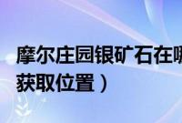 摩尔庄园银矿石在哪里获得（摩尔庄园银矿石获取位置）