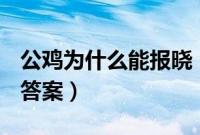 公鸡为什么能报晓（支付宝蚂蚁庄园10月9日答案）