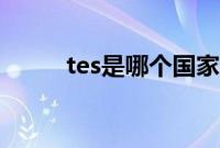tes是哪个国家的战队（tes介绍）