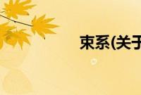 束系(关于束系的简介)