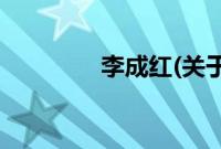 李成红(关于李成红的简介)