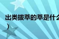 出类拔萃的萃是什么意思（出类拔萃的萃解释）