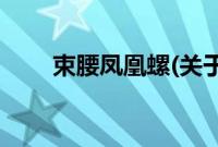 束腰凤凰螺(关于束腰凤凰螺的简介)