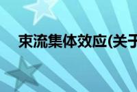 束流集体效应(关于束流集体效应的简介)