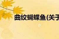 曲纹蝴蝶鱼(关于曲纹蝴蝶鱼的简介)