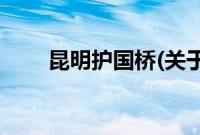 昆明护国桥(关于昆明护国桥的简介)
