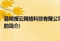 昆明搜云网络科技有限公司(关于昆明搜云网络科技有限公司的简介)