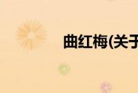 曲红梅(关于曲红梅的简介)