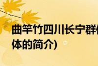 曲竿竹四川长宁群体(关于曲竿竹四川长宁群体的简介)