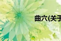 曲穴(关于曲穴的简介)