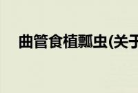 曲管食植瓢虫(关于曲管食植瓢虫的简介)