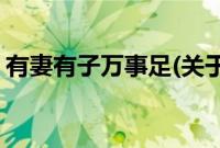 有妻有子万事足(关于有妻有子万事足的简介)