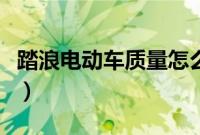 踏浪电动车质量怎么样(踏浪电动车排名第几)