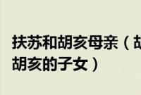 扶苏和胡亥母亲（胡亥和扶苏的生母分别是谁胡亥的子女）