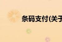 条码支付(关于条码支付的简介)