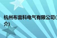 杭州布雷科电气有限公司(关于杭州布雷科电气有限公司的简介)