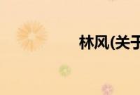 林风(关于林风的简介)