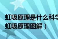 虹吸原理是什么科学原理（虹吸的原理是什么虹吸原理图解）