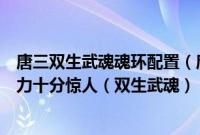 唐三双生武魂魂环配置（唐三的所有魂环和魂技自创魂技威力十分惊人（双生武魂））