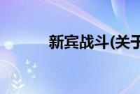 新宾战斗(关于新宾战斗的简介)