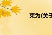 束为(关于束为的简介)