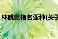 林跳鼠指名亚种(关于林跳鼠指名亚种的简介)