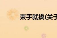 束手就擒(关于束手就擒的简介)