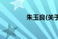 朱玉良(关于朱玉良的简介)